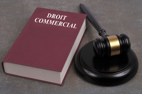Le droit commercial est complexe et n&eacute;cessite l'expertise d'un avocat